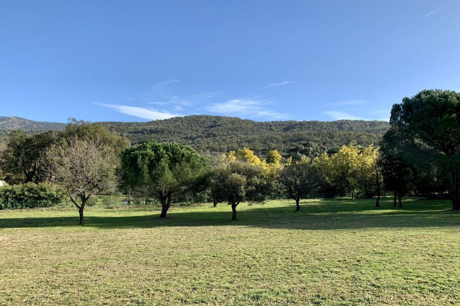 Villa à vendre avec appartement indépendant au Plan de la Tour avec grand terrain 