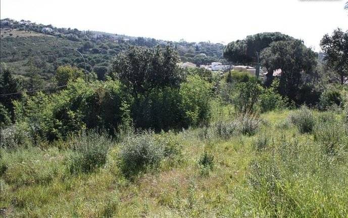 Terrain constructible à vendre aux Issambres