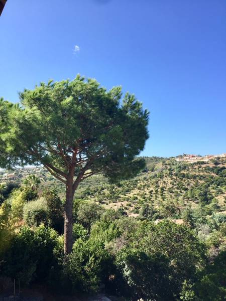 A vendre villa 4 chambres avec piscine aux Issambres 