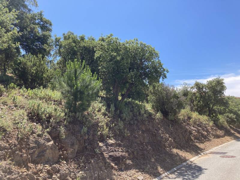 Terrain constructible à vendre Sainte Maxime sur le Golf Vue dégagée et aperçu mer